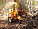 Tree Removal & Maintenance