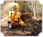 Tree Removal & Maintenance