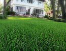 Turf Care
