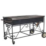 Propane Grill rental nh