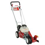 Lawn Edger rental nh